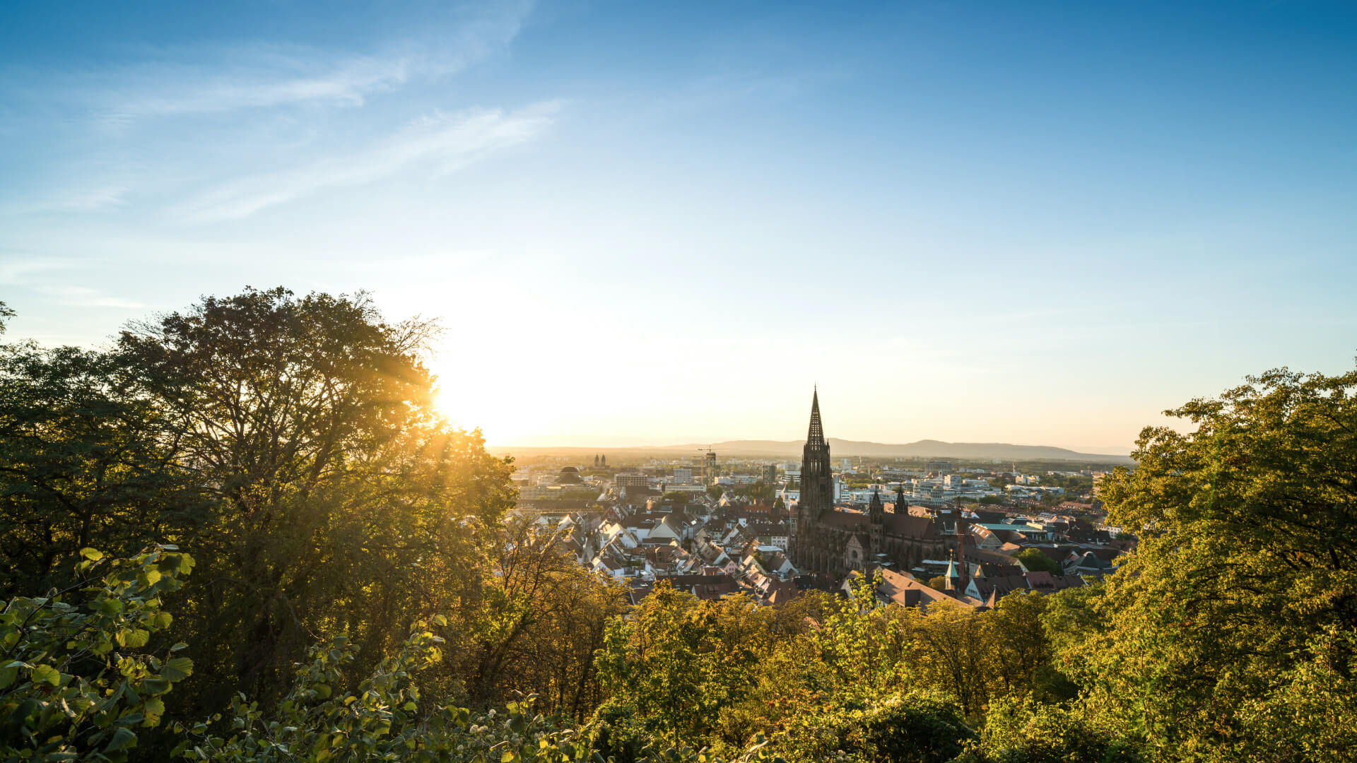 Freiburg_Blick auf Freiburg_Copyright FWTM-Baschi Bender (9)